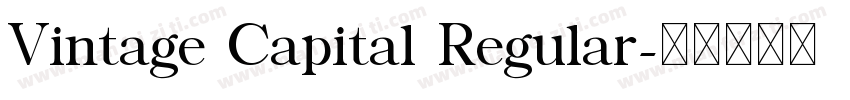 Vintage Capital Regular字体转换